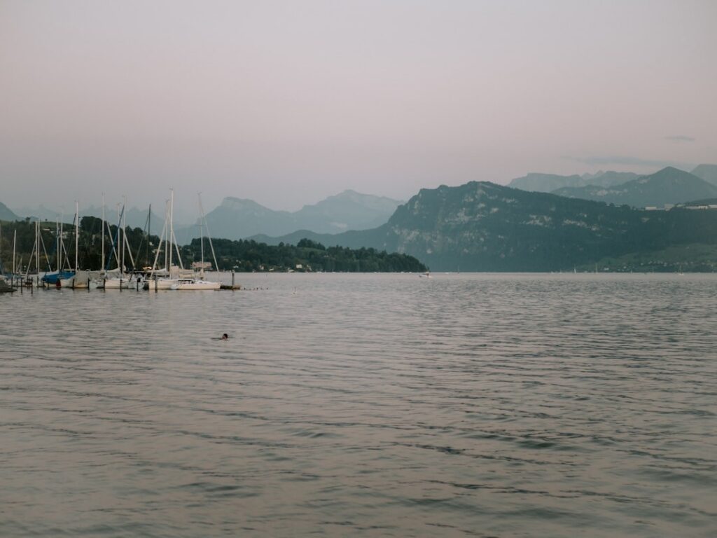 Sailboats docked at a marina with mountains in the distance.